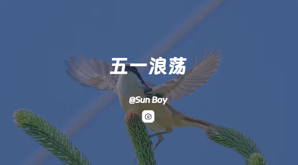 五一浪荡